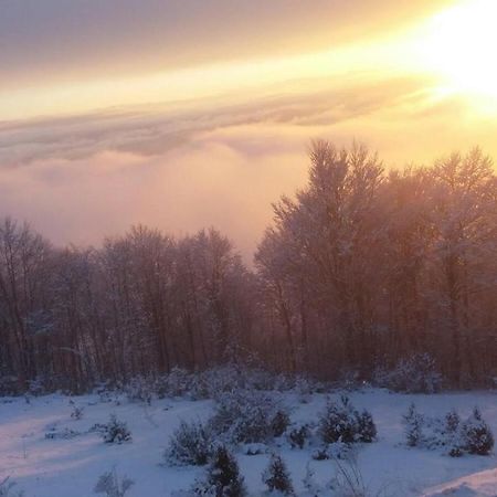 Goma Kop Apartmani Kopaonik Exteriér fotografie